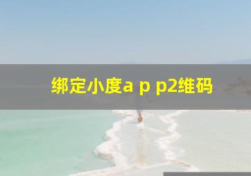 绑定小度a p p2维码